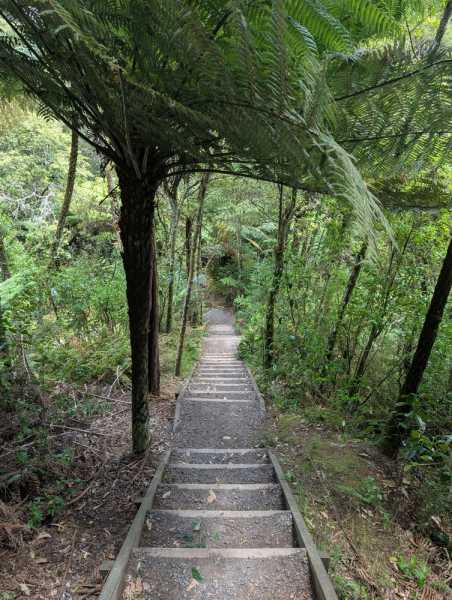 Новая Зеландия во второй раз на машине (21 день  - 2 острова) . Новогодние праздники