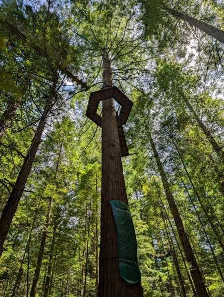 Новая Зеландия во второй раз на машине (21 день  - 2 острова) . Новогодние праздники