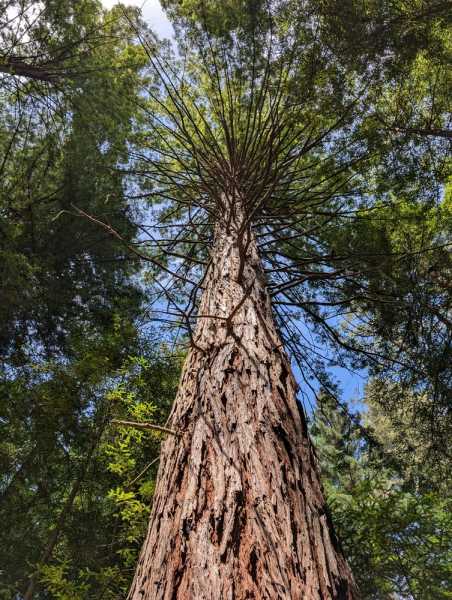 Новая Зеландия во второй раз на машине (21 день  - 2 острова) . Новогодние праздники