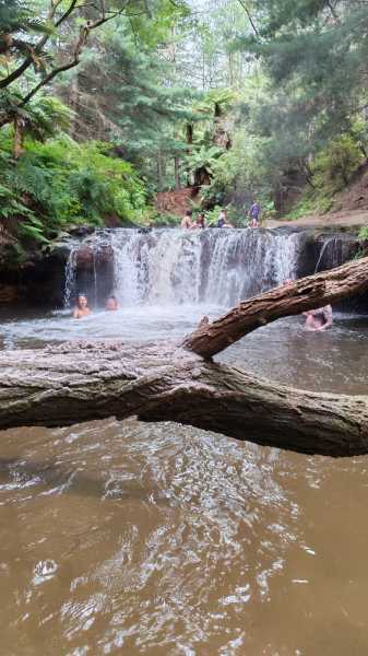 Новая Зеландия во второй раз на машине (21 день  - 2 острова) . Новогодние праздники
