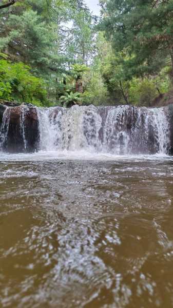 Новая Зеландия во второй раз на машине (21 день  - 2 острова) . Новогодние праздники