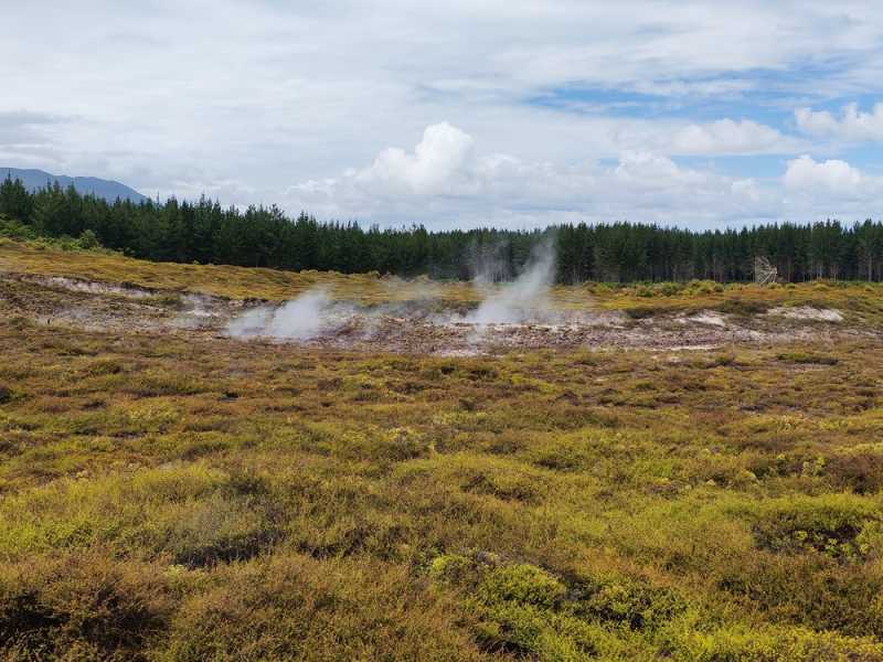 Новая Зеландия во второй раз на машине (21 день  - 2 острова) . Новогодние праздники
