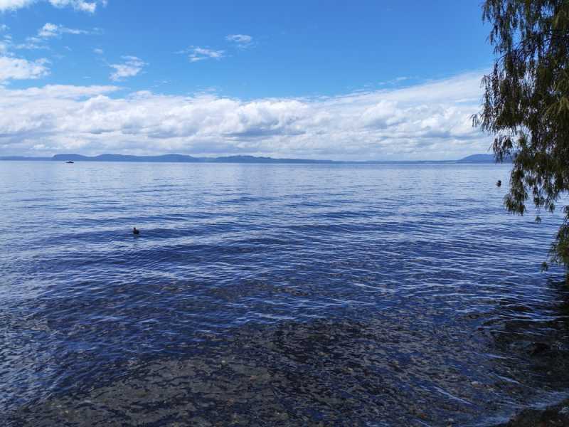 Новая Зеландия во второй раз на машине (21 день  - 2 острова) . Новогодние праздники