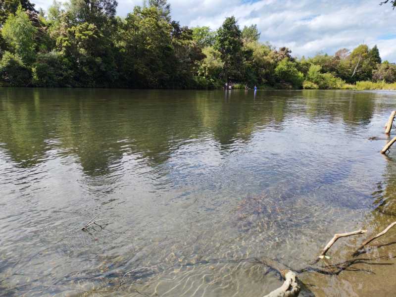 Новая Зеландия во второй раз на машине (21 день  - 2 острова) . Новогодние праздники