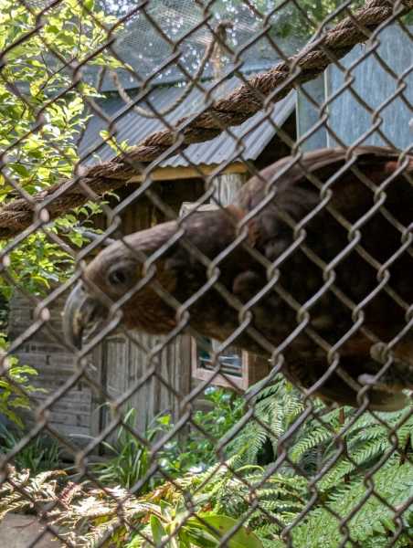 Новая Зеландия во второй раз на машине (21 день  - 2 острова) . Новогодние праздники