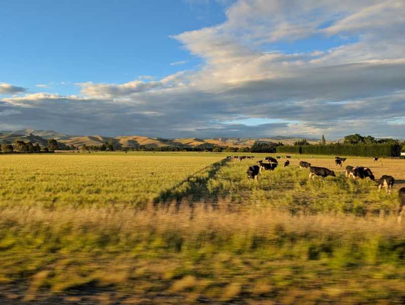 Новая Зеландия во второй раз на машине (21 день  - 2 острова) . Новогодние праздники