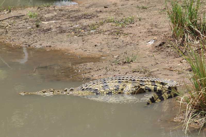 Южно-африканские приключения часть 2 20000 км (Намибия, Ботсвана, Замбия, Малави, Мозамбик) октябрь-декабрь 2025