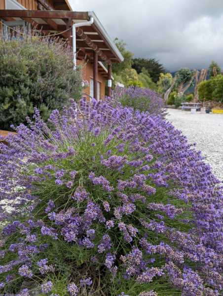 Новая Зеландия во второй раз на машине (21 день  - 2 острова) . Новогодние праздники