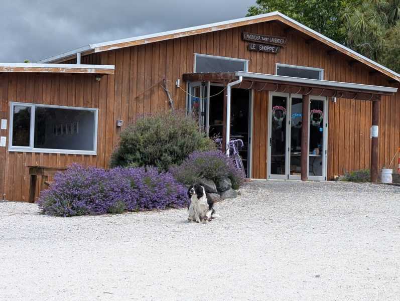 Новая Зеландия во второй раз на машине (21 день  - 2 острова) . Новогодние праздники