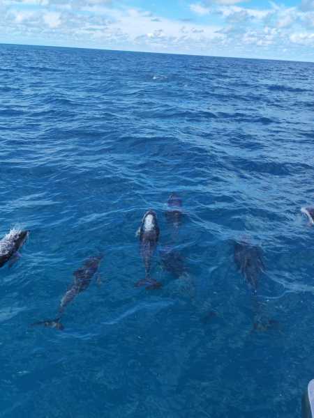 Новая Зеландия во второй раз на машине (21 день  - 2 острова) . Новогодние праздники