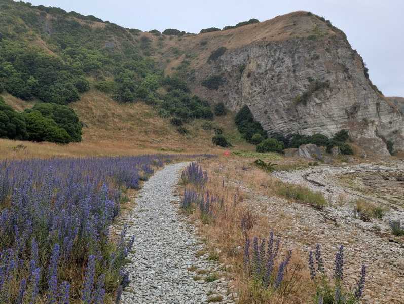 Новая Зеландия во второй раз на машине (21 день  - 2 острова) . Новогодние праздники