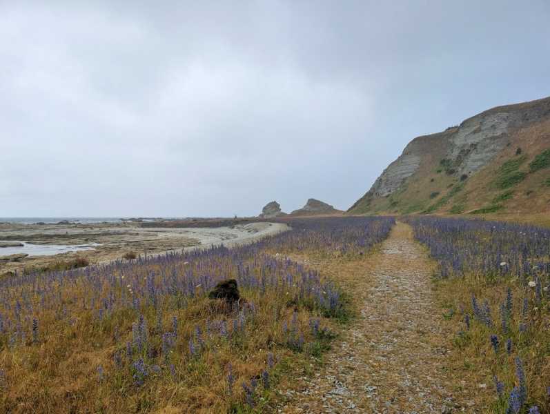 Новая Зеландия во второй раз на машине (21 день  - 2 острова) . Новогодние праздники