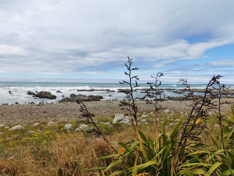 Новая Зеландия во второй раз на машине (21 день  - 2 острова) . Новогодние праздники