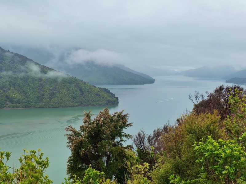 Новая Зеландия во второй раз на машине (21 день  - 2 острова) . Новогодние праздники