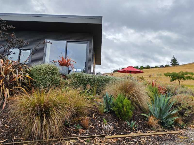 Новая Зеландия во второй раз на машине (21 день  - 2 острова) . Новогодние праздники