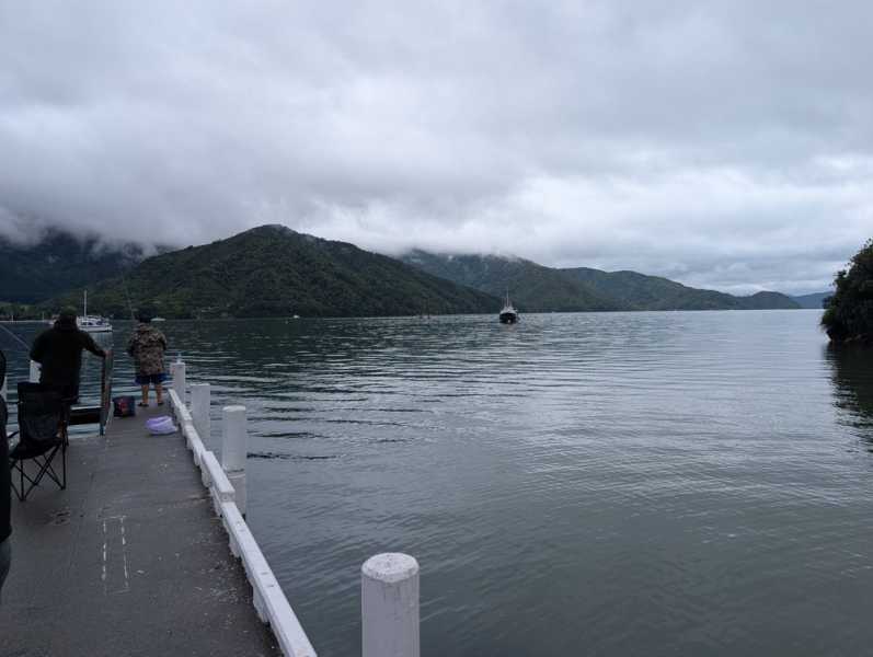 Новая Зеландия во второй раз на машине (21 день  - 2 острова) . Новогодние праздники
