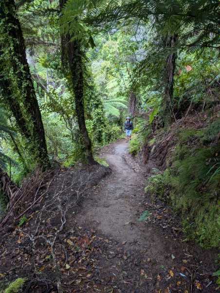 Новая Зеландия во второй раз на машине (21 день  - 2 острова) . Новогодние праздники