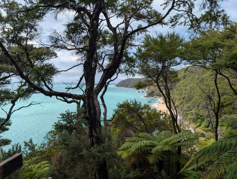 Новая Зеландия во второй раз на машине (21 день  - 2 острова) . Новогодние праздники