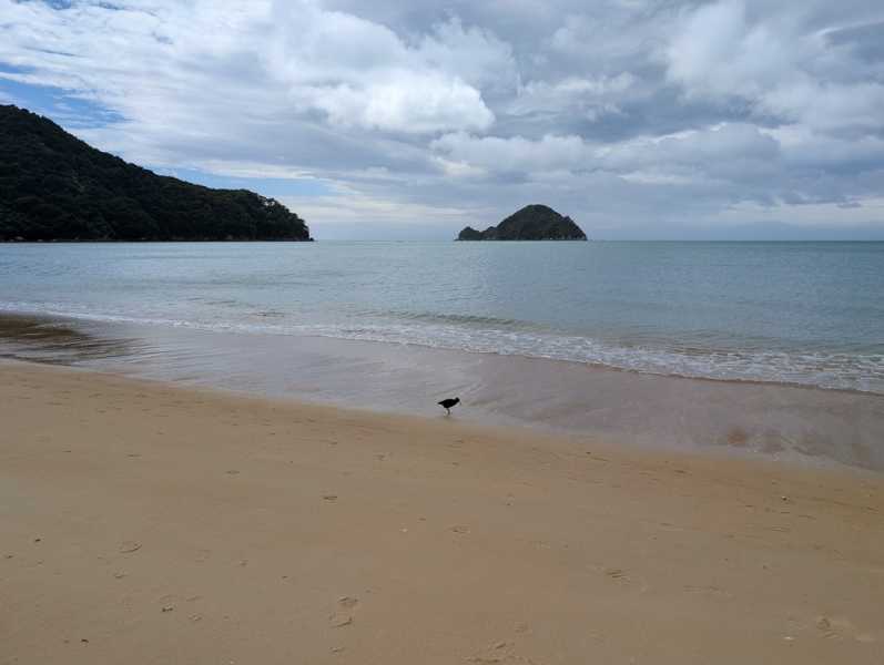 Новая Зеландия во второй раз на машине (21 день  - 2 острова) . Новогодние праздники