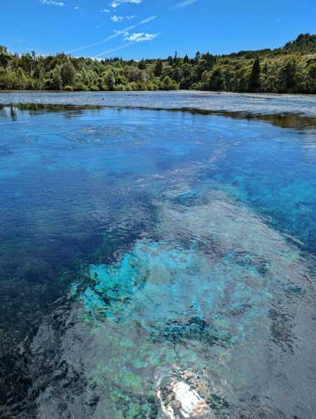 Новая Зеландия во второй раз на машине (21 день  - 2 острова) . Новогодние праздники