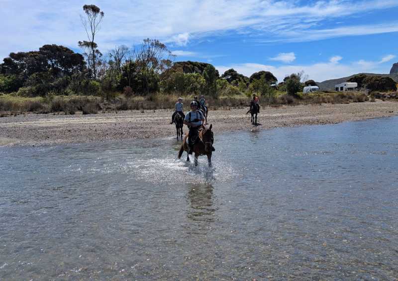 Новая Зеландия во второй раз на машине (21 день  - 2 острова) . Новогодние праздники