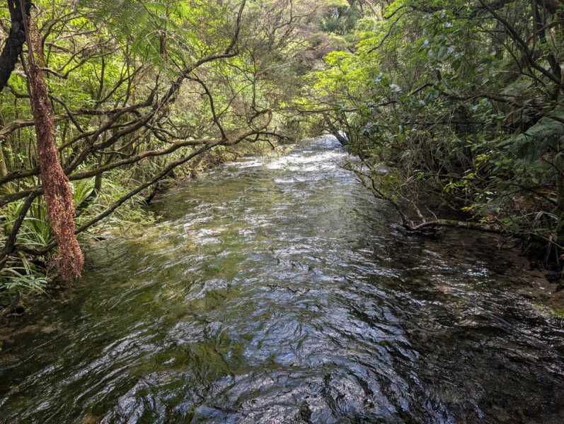 Новая Зеландия во второй раз на машине (21 день  - 2 острова) . Новогодние праздники
