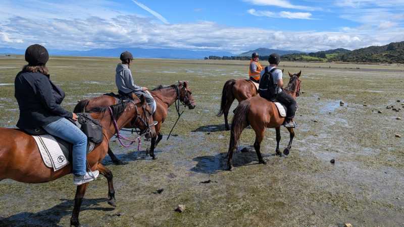 Новая Зеландия во второй раз на машине (21 день  - 2 острова) . Новогодние праздники