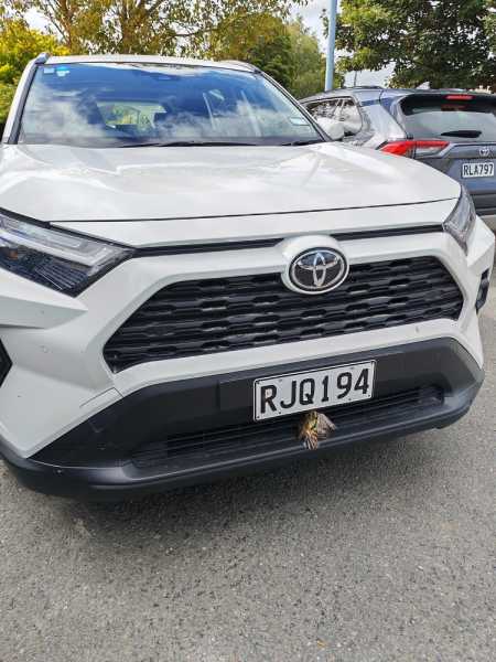 Новая Зеландия во второй раз на машине (21 день  - 2 острова) . Новогодние праздники