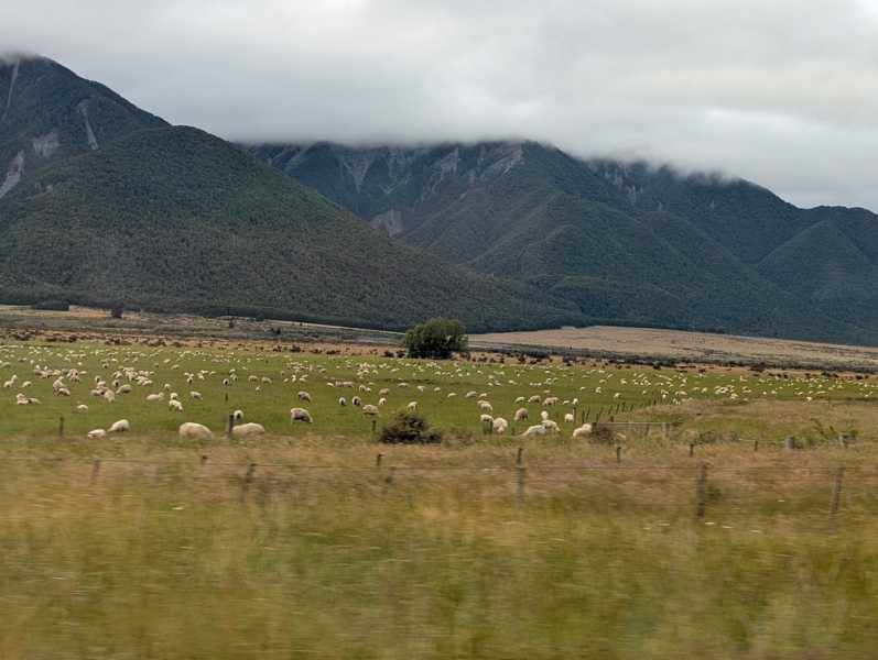 Новая Зеландия во второй раз на машине (21 день  - 2 острова) . Новогодние праздники