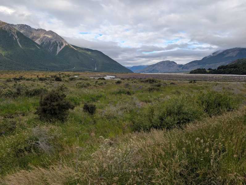Новая Зеландия во второй раз на машине (21 день  - 2 острова) . Новогодние праздники