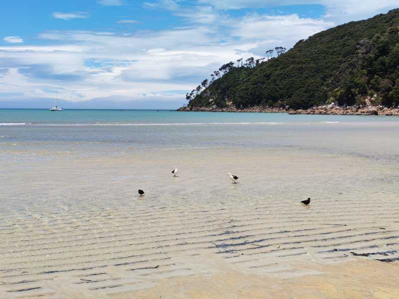 Новая Зеландия во второй раз на машине (21 день  - 2 острова) . Новогодние праздники