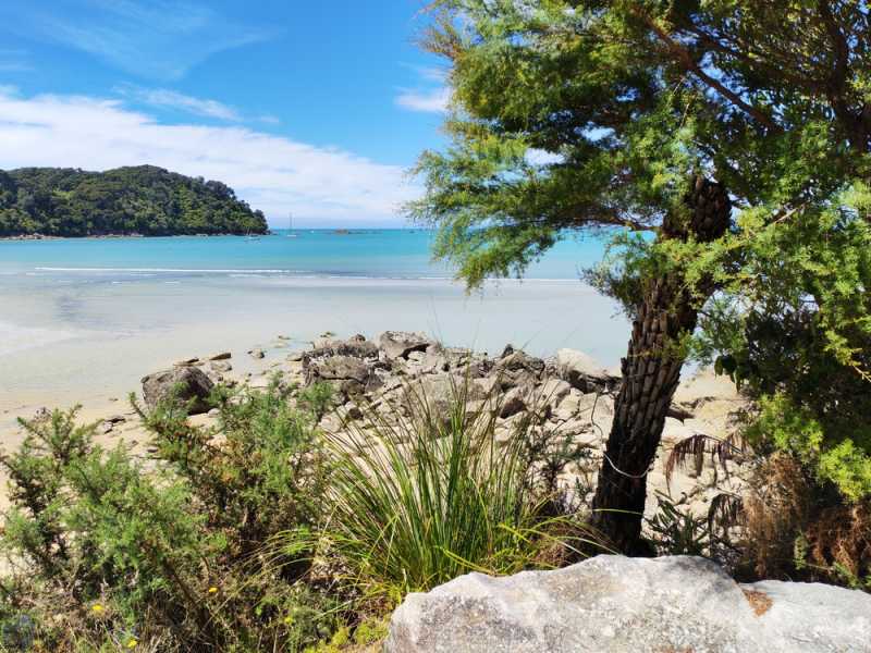 Новая Зеландия во второй раз на машине (21 день  - 2 острова) . Новогодние праздники