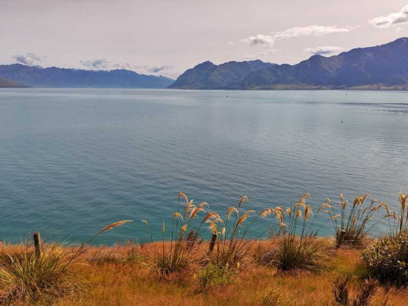 Новая Зеландия во второй раз на машине (21 день  - 2 острова) . Новогодние праздники