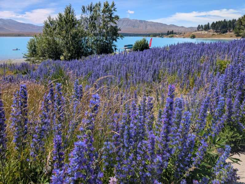 Новая Зеландия во второй раз на машине (21 день  - 2 острова) . Новогодние праздники