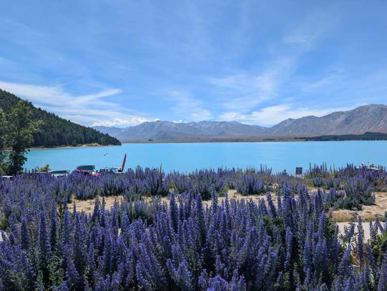 Новая Зеландия во второй раз на машине (21 день  - 2 острова) . Новогодние праздники