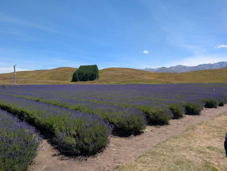 Новая Зеландия во второй раз на машине (21 день  - 2 острова) . Новогодние праздники
