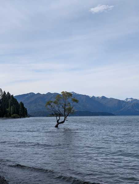 Новая Зеландия во второй раз на машине (21 день  - 2 острова) . Новогодние праздники