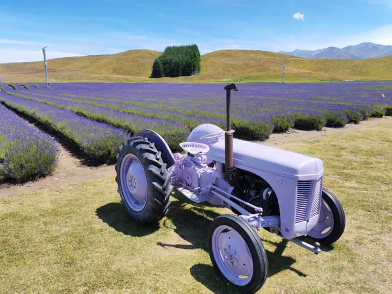 Новая Зеландия во второй раз на машине (21 день  - 2 острова) . Новогодние праздники