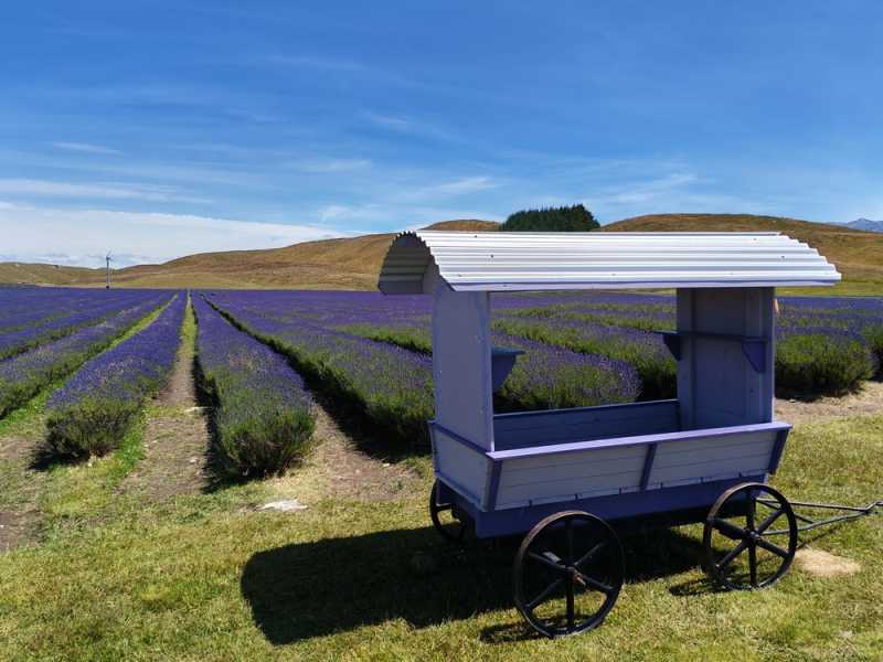 Новая Зеландия во второй раз на машине (21 день  - 2 острова) . Новогодние праздники