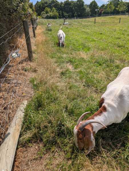 Новая Зеландия во второй раз на машине (21 день  - 2 острова) . Новогодние праздники
