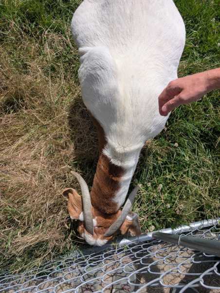 Новая Зеландия во второй раз на машине (21 день  - 2 острова) . Новогодние праздники