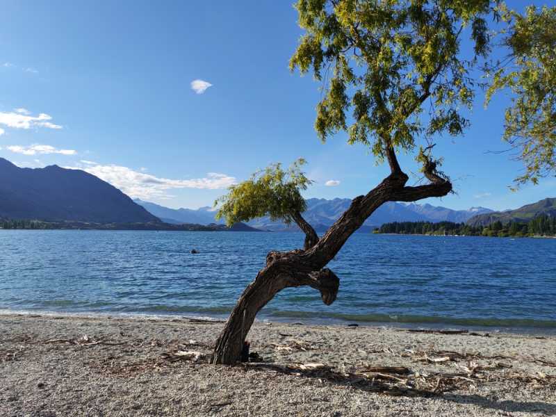 Новая Зеландия во второй раз на машине (21 день  - 2 острова) . Новогодние праздники