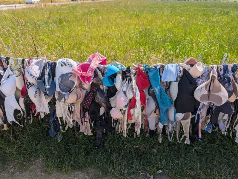 Новая Зеландия во второй раз на машине (21 день  - 2 острова) . Новогодние праздники