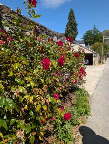 Новая Зеландия во второй раз на машине (21 день  - 2 острова) . Новогодние праздники