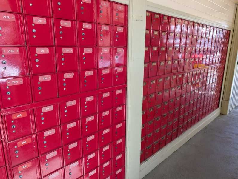 Новая Зеландия во второй раз на машине (21 день  - 2 острова) . Новогодние праздники