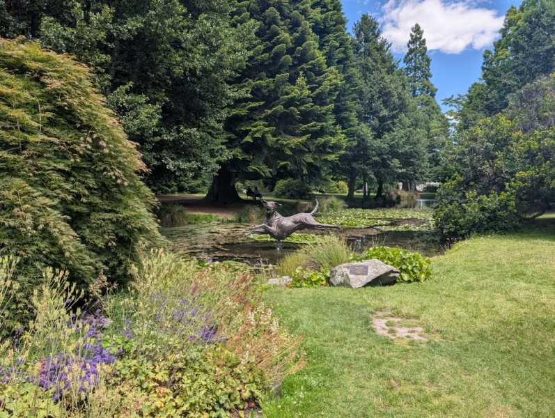 Новая Зеландия во второй раз на машине (21 день  - 2 острова) . Новогодние праздники