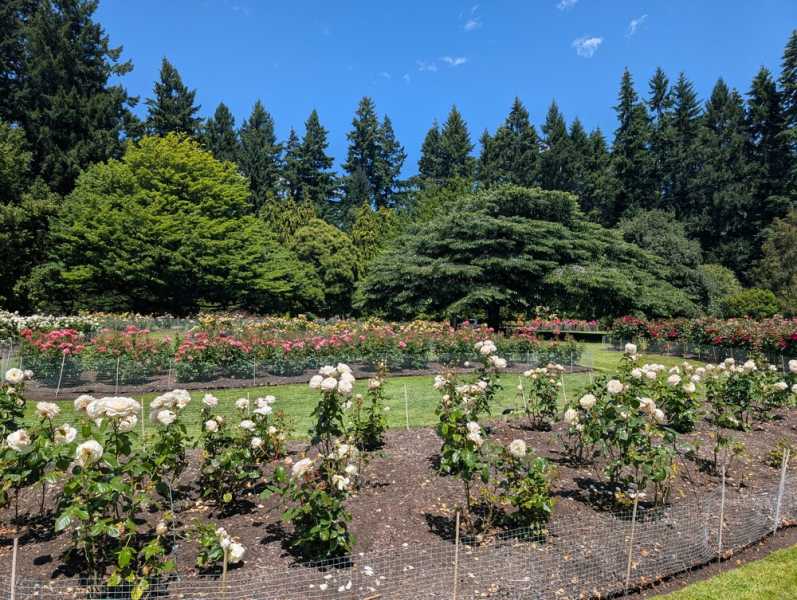 Новая Зеландия во второй раз на машине (21 день  - 2 острова) . Новогодние праздники