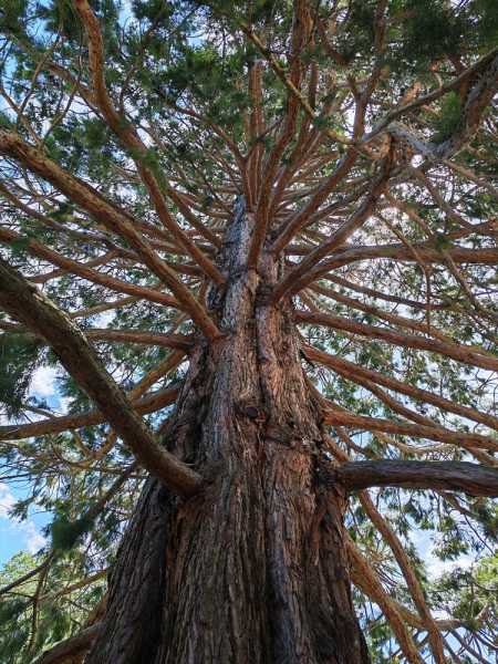 Новая Зеландия во второй раз на машине (21 день  - 2 острова) . Новогодние праздники