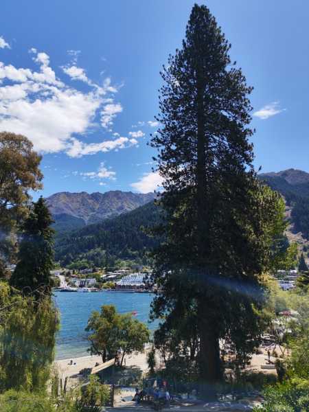 Новая Зеландия во второй раз на машине (21 день  - 2 острова) . Новогодние праздники