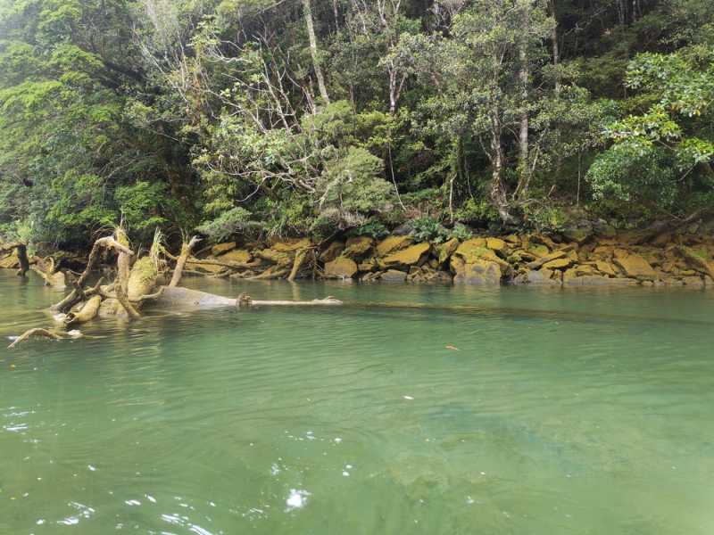 Новая Зеландия во второй раз на машине (21 день  - 2 острова) . Новогодние праздники